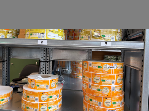 Collection Musée du Scribe