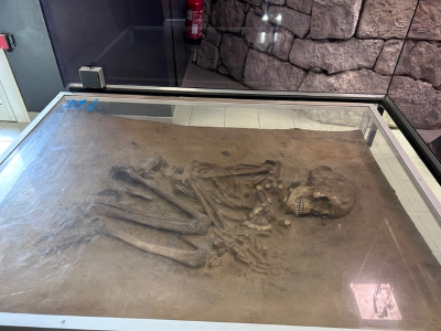 Colonnades Caissargues