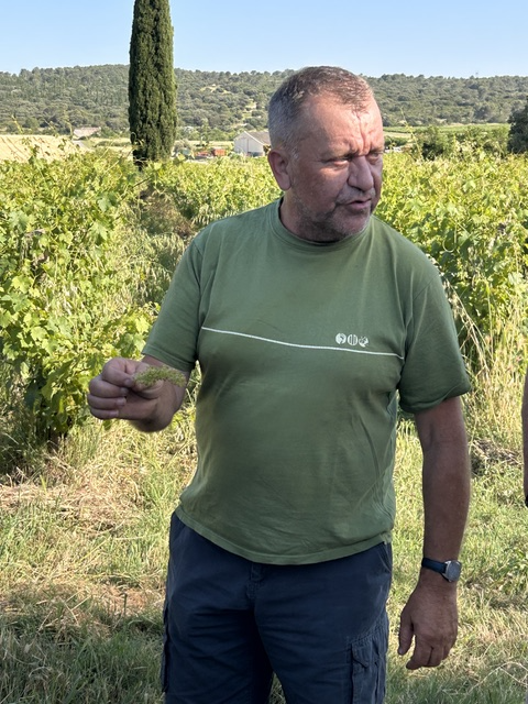 Domaine Malaïgues - Portrait 1