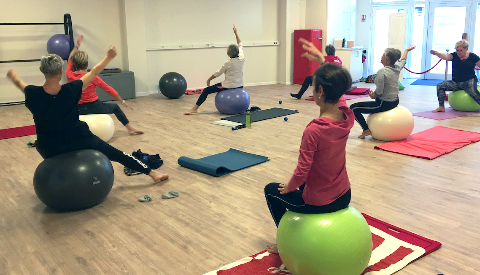 Fit Ball - Pilates Ballon