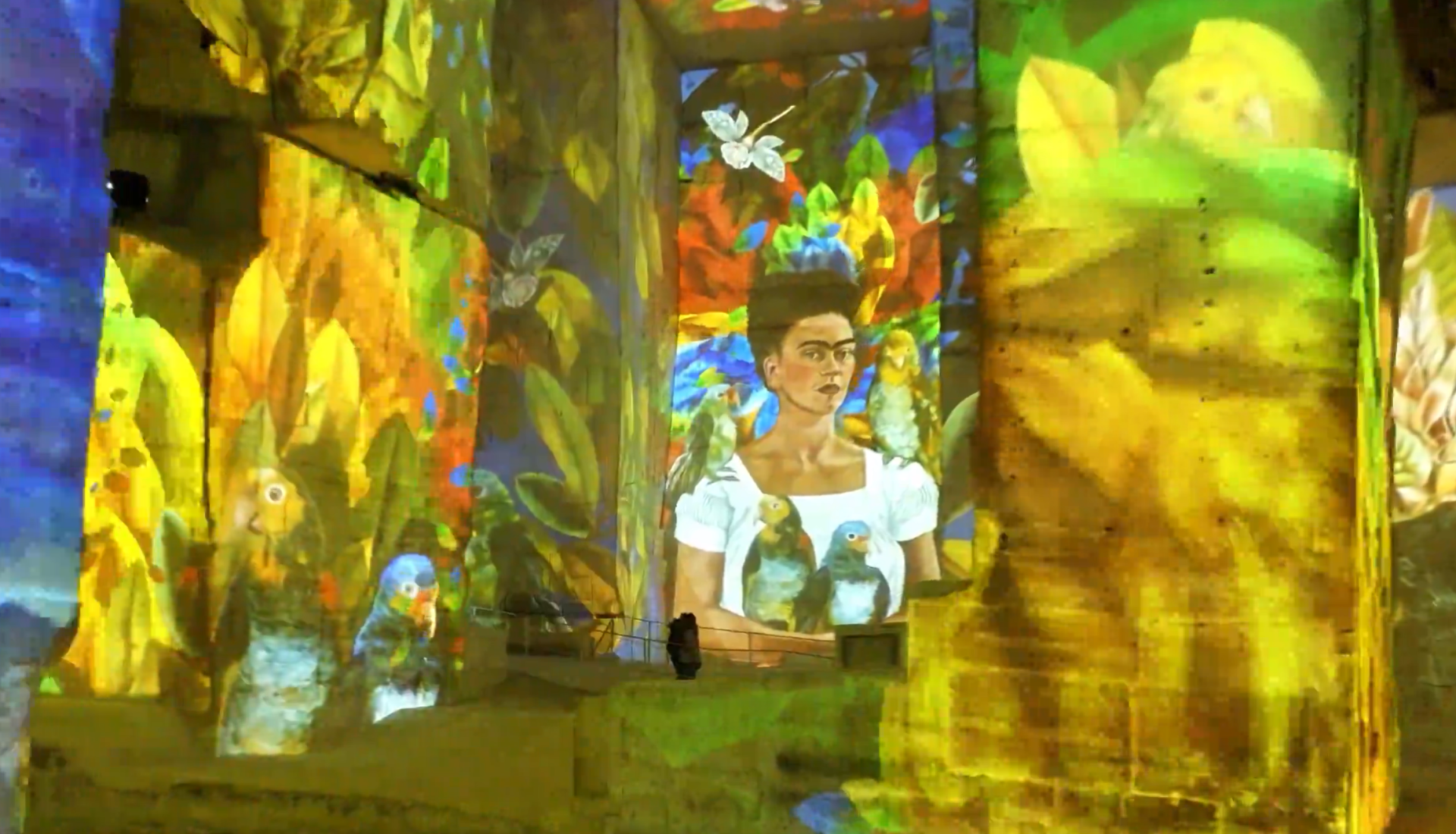 CARRIERES DE LUMIERE