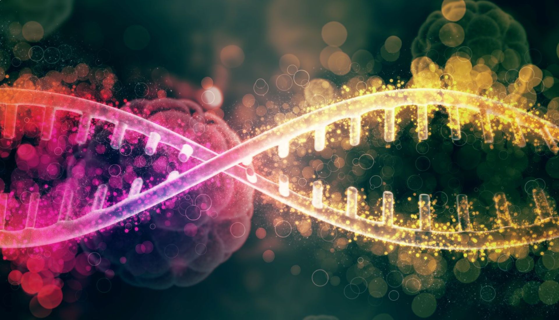 Conférence pour le Téléthon: la recherche et le développement en biothérapies : un espoir pour les maladies rares et un modèle pour les maladies fréquentes