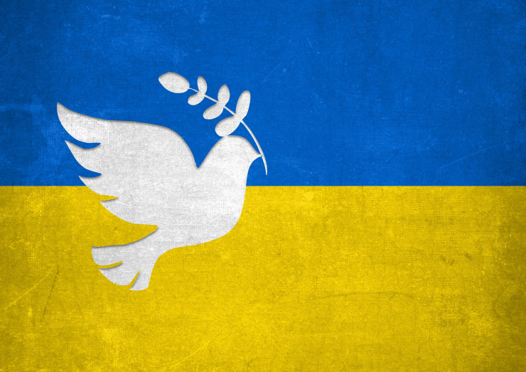 Visioconférences sur l'Ukraine