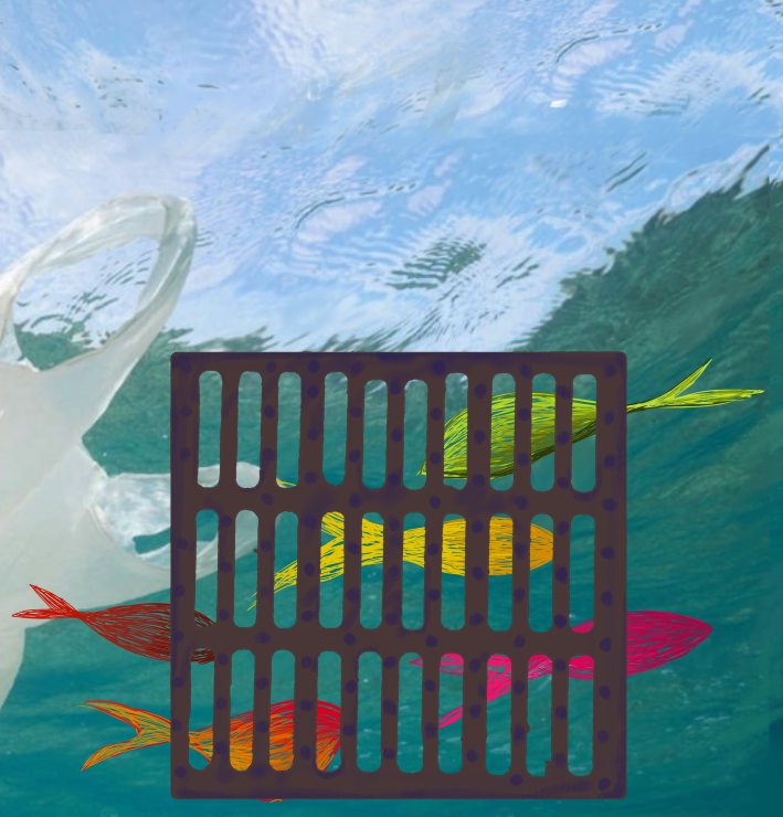 VIE ASSOCIATIVE  | EXPO PHOTO - LA MER COMMENCE ICI
