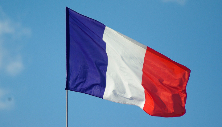 Français Langue Etrangère (FLE)